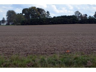 Property photo 80 - EHLE FARMS AUCTION - 118+/- ACRES IN 9 TRACTS IN ALLEN COUNTY, INDIANA